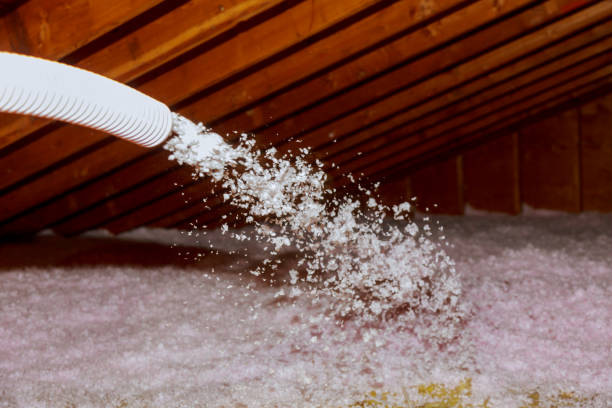 Types of Insulation We Offer in Chase City, VA