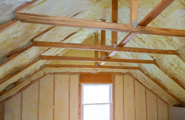 Best Energy Efficiency Insulation in Chase City, VA