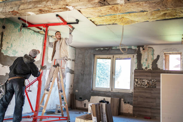 Best DIY Insulation Kits and Guidance in Chase City, VA
