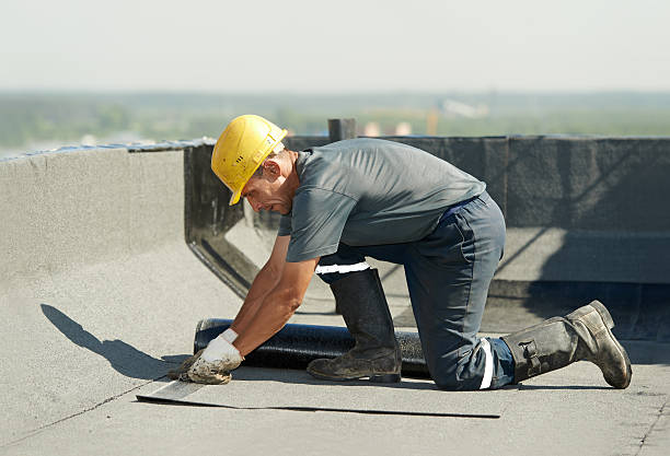 Best Spray Foam Insulation in Chase City, VA